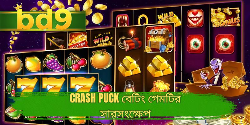 Crash Puck বেটিং গেমটির সারসংক্ষেপ