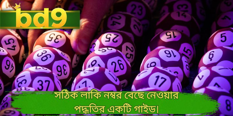 সঠিক লাকি নম্বর বেছে নেওয়ার পদ্ধতির একটি গাইড।