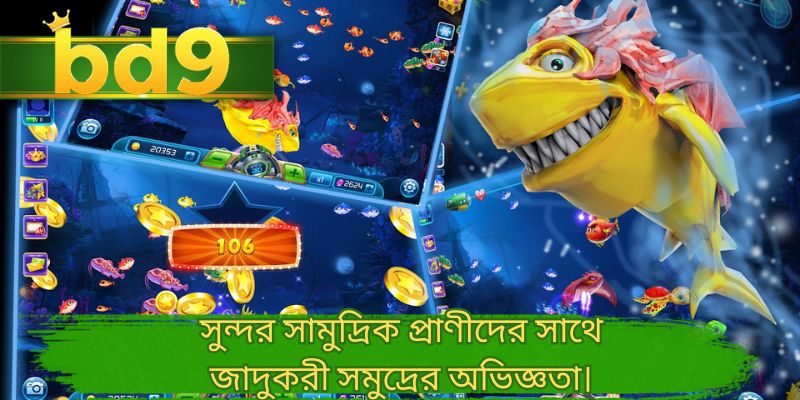 সুন্দর সামুদ্রিক প্রাণীদের সাথে জাদুকরী সমুদ্রের অভিজ্ঞতা।
